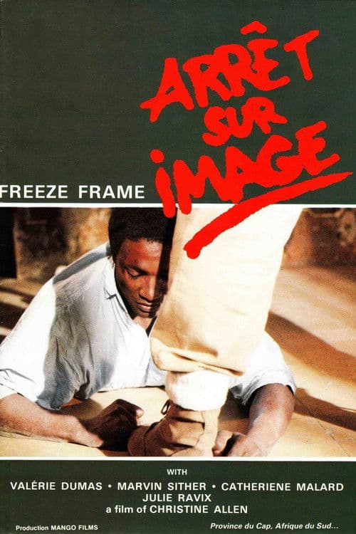 Poster for Arrêt sur image