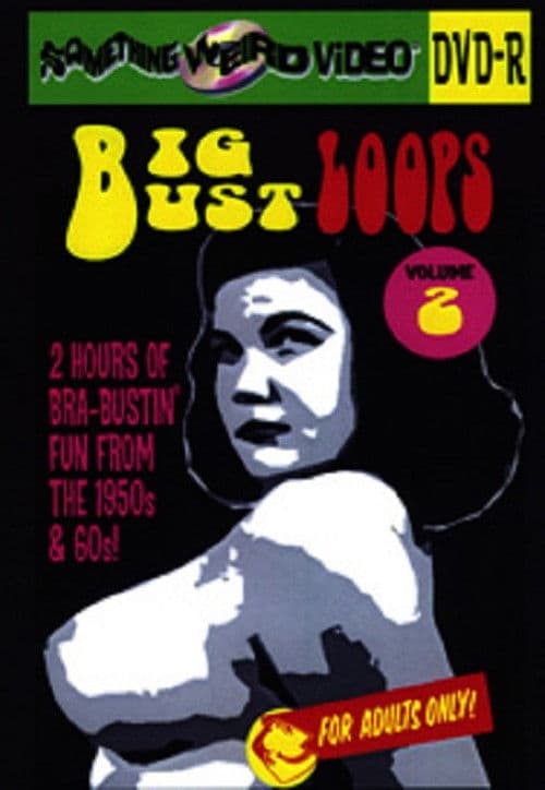 Poster for Big Bust Loops Volume 2