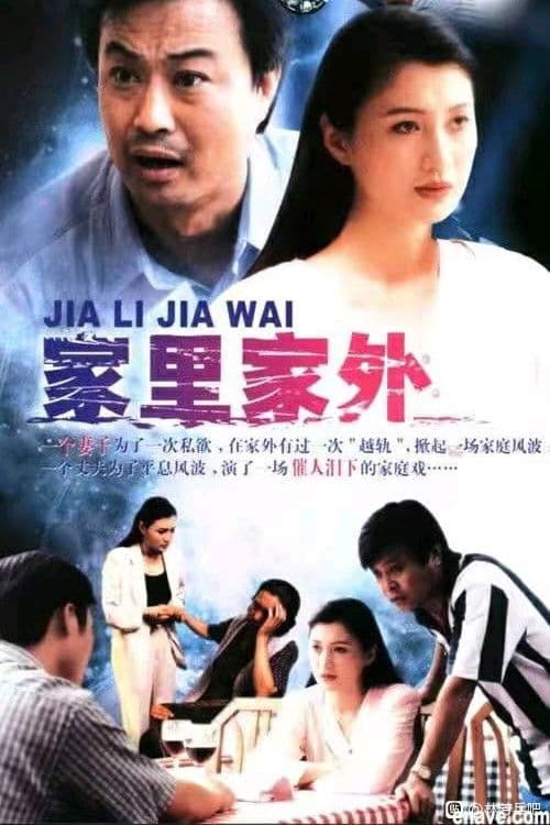 Poster for 家里家外