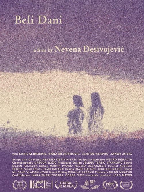 Poster for Bright Summer Days