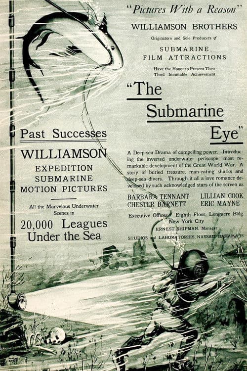 Poster for The Submarine Eye