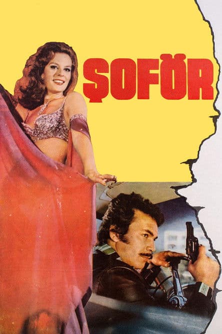Poster for Şoför