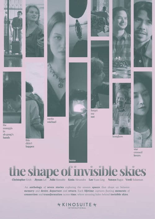 Poster for The Shape of Invisible Skies