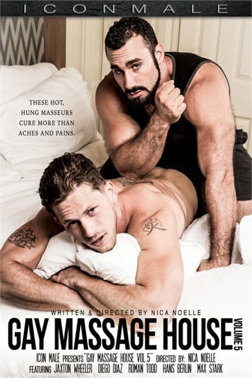 Poster for Gay Massage House 5