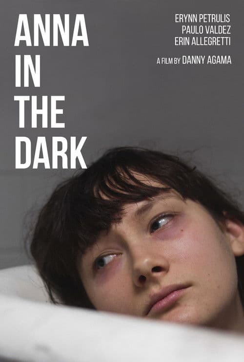 Poster for Anna in the Dark