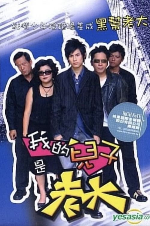 Poster for 我的儿子是老大