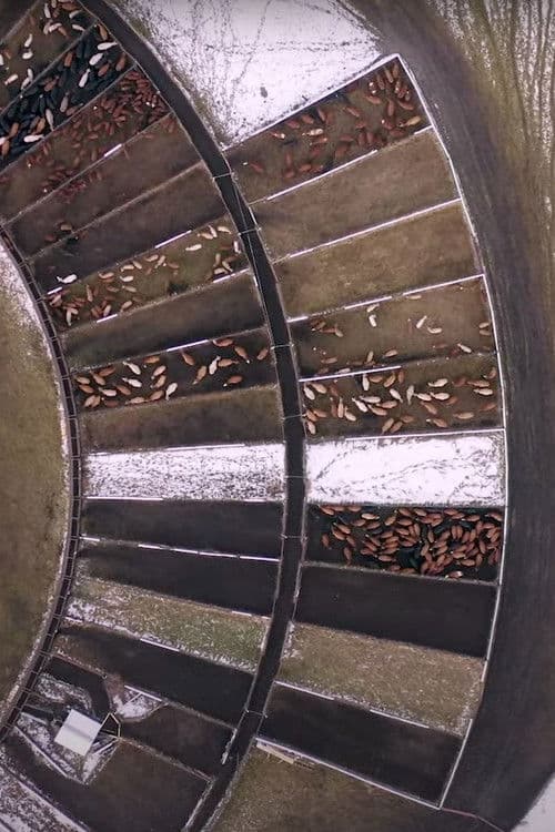 Similar title Roundup