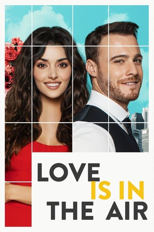 Poster for Love Is in the Air