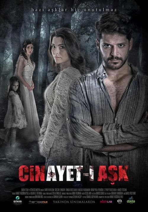 Poster for Cinayet-i Aşk
