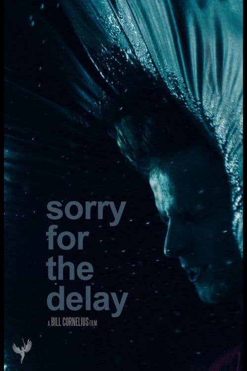 Poster for Sorry for the Delay