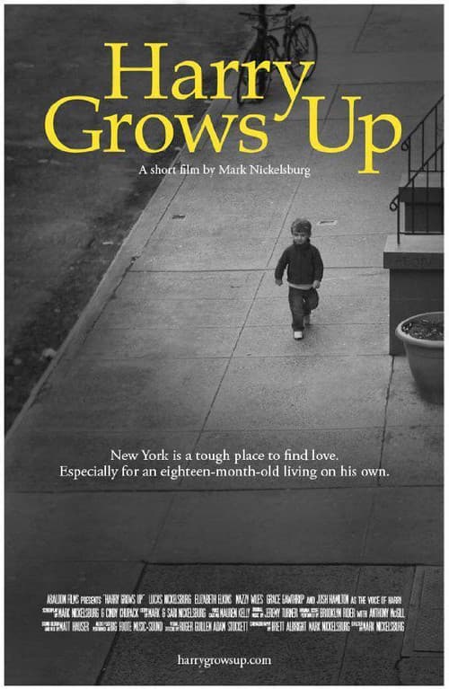 Poster for Harry Grows Up
