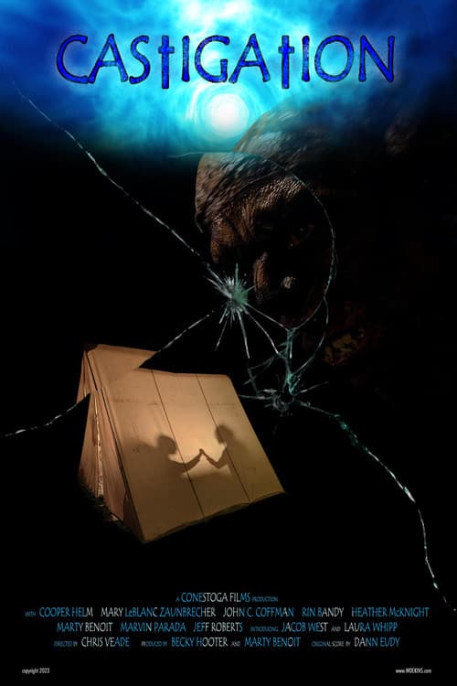 Poster for Castigation