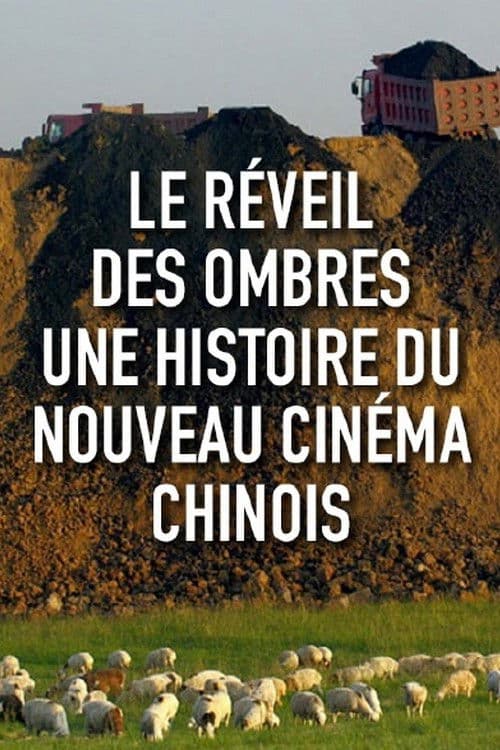 Poster for Le réveil des ombres