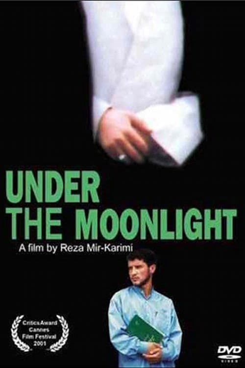 Poster for Under the Moonlight