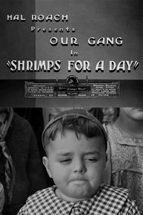 Poster for Shrimps for a Day