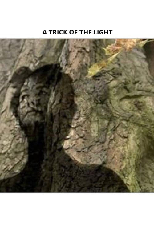 Poster for A Trick of the Light