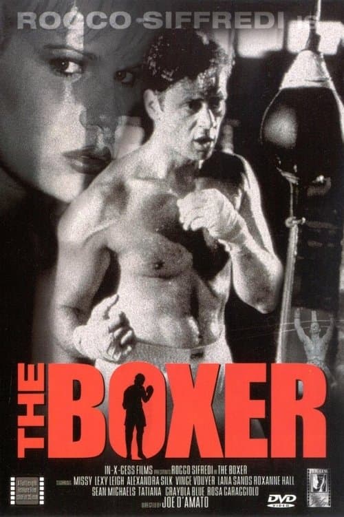 Poster for The Boxer