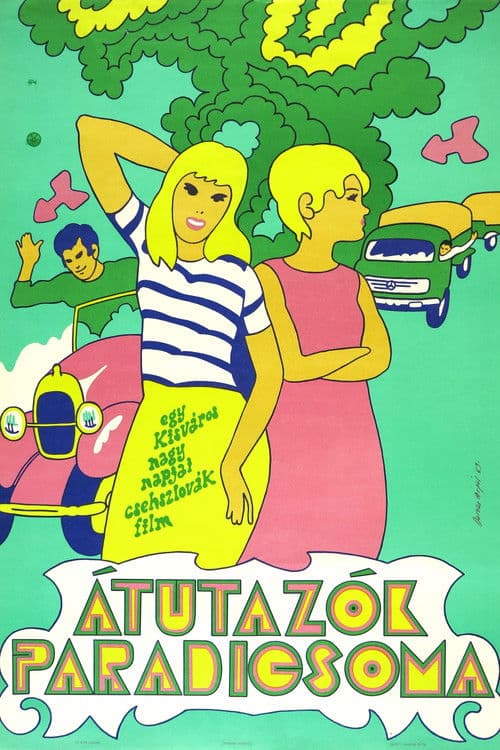 Poster for Objížďka