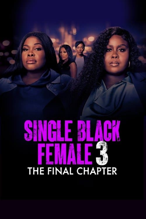 Poster for Single Black Female 3: The Final Chapter