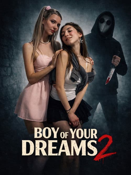 Poster for Boy Of Your Dreams 2