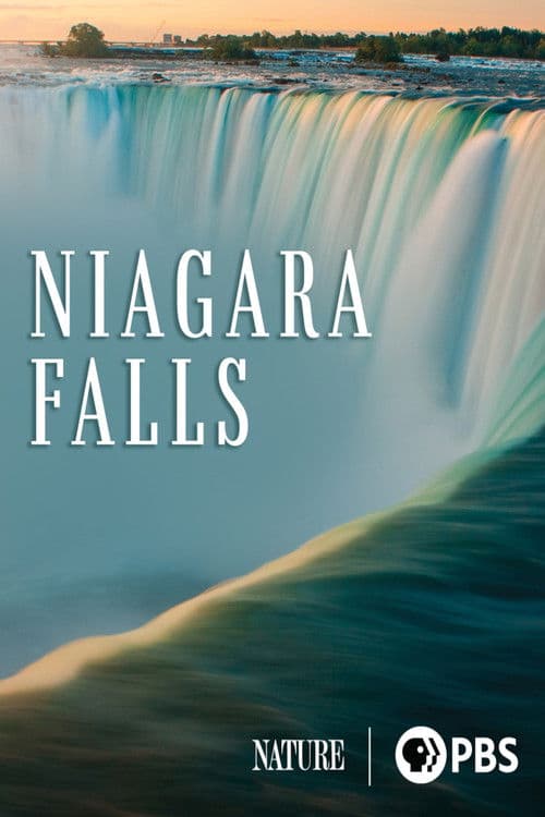 Poster for Niagara Falls