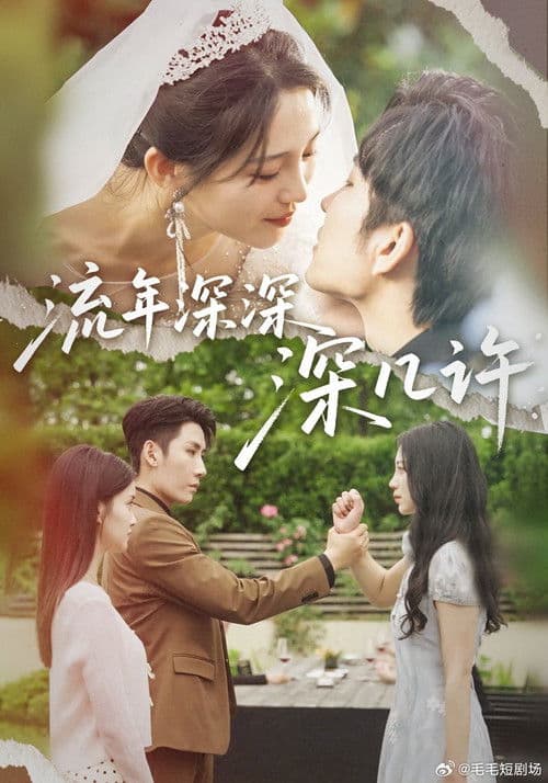 Poster for 流年深深深几许