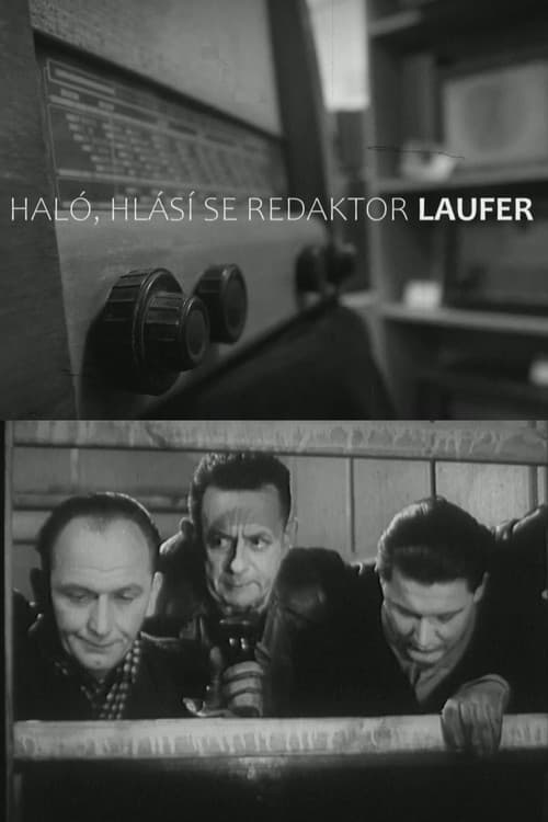 Poster for Haló, hlásí se redaktor Laufer!