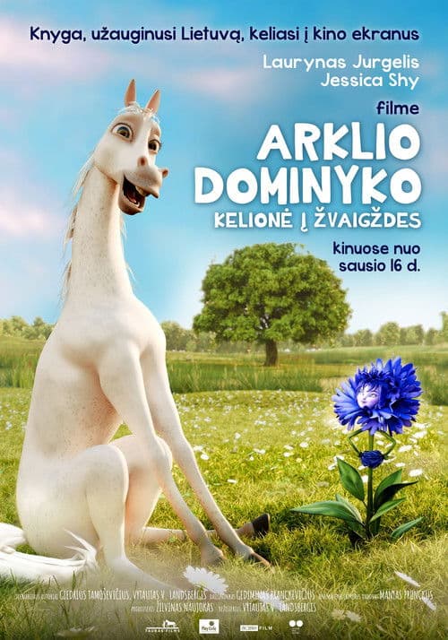 Poster for Dominykas the Horse's Journey to the Stars