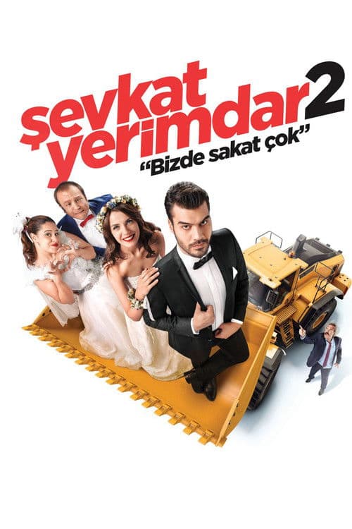 Poster for Şevkat Yerimdar 2
