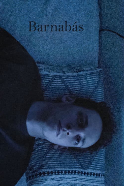 Poster for Barnabás