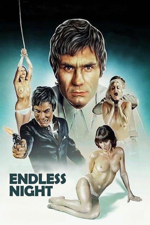 Poster for Endless Night