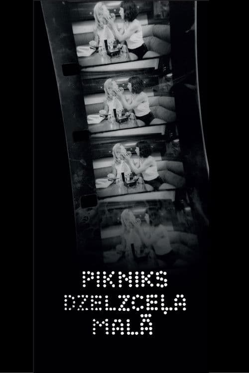 Poster for A Picnic by the Railway