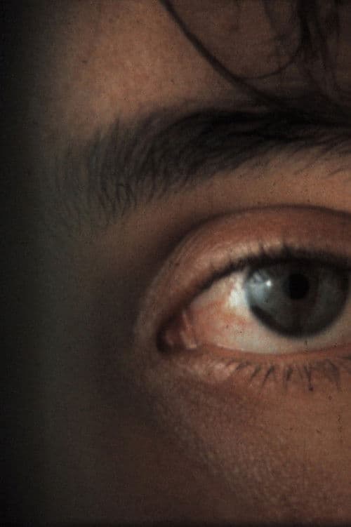 Poster for Shock Video