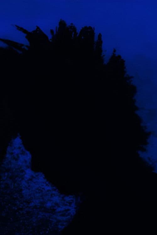 Poster for Angel of the Night