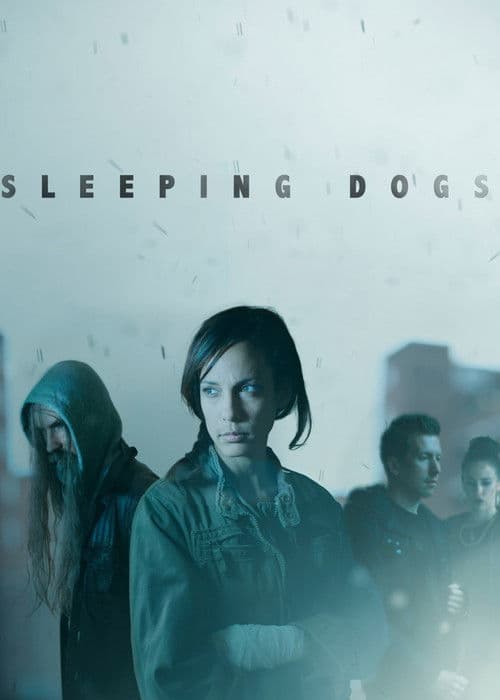 Poster for Sleeping Dogs