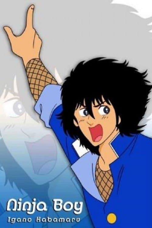 Poster for Ninja Boy