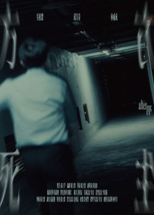 Poster for Afterlife