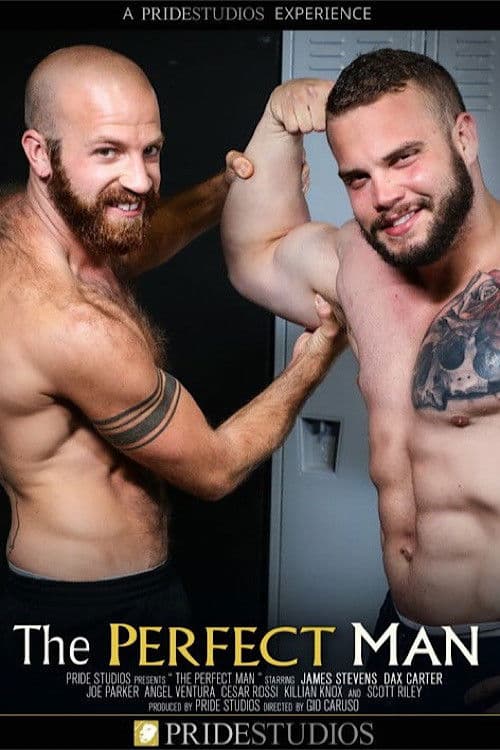 Poster for The Perfect Man