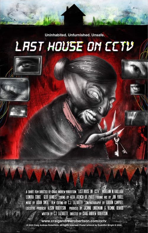 Poster for Last House on CCTV