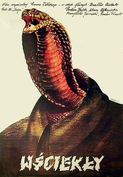 Poster for Wściekły