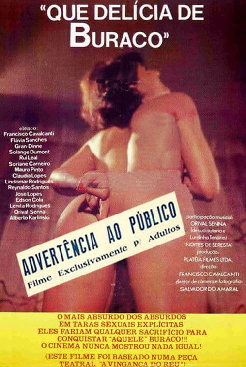 Poster for Que Delícia de Buraco