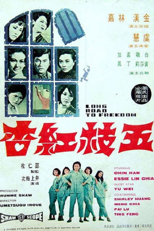 Poster for Long Road to Freedom