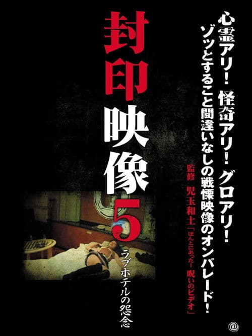 Poster for Sealed Video 5: Love Hotel Grudge