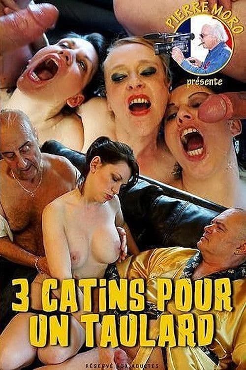 Poster for 3 Catins pour un Taulard