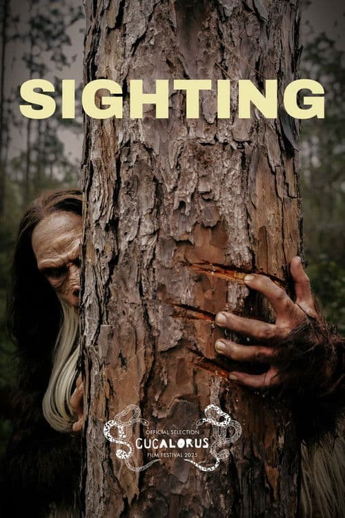 Poster for Sighting