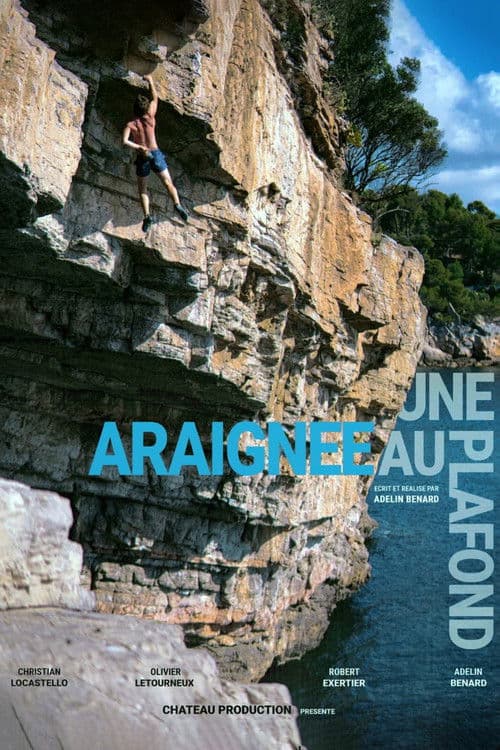 Similar title Une Araignée au Plafond