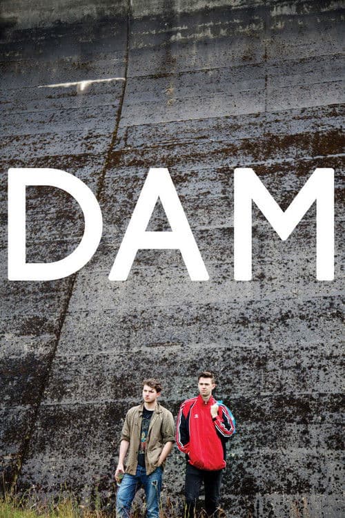 Poster for Dam