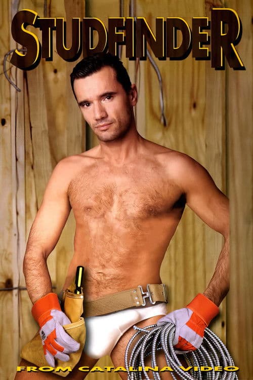 Poster for Studfinder