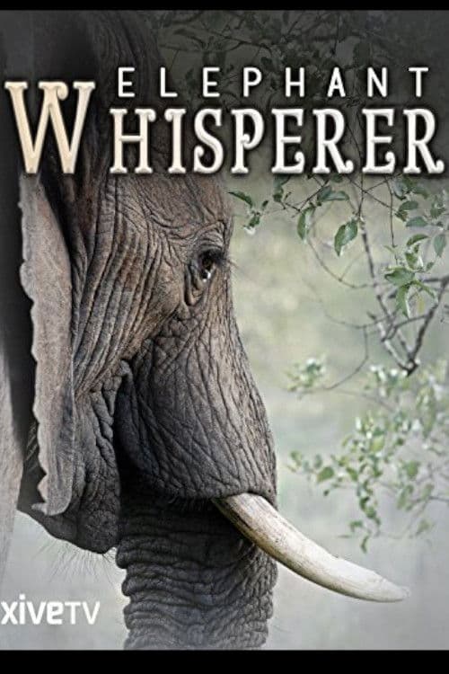 Poster for Elephant Whisperer