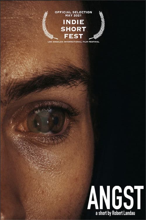 Poster for Angst
